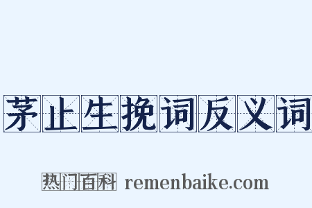 茅止生挽词反义词是什么意思的图片